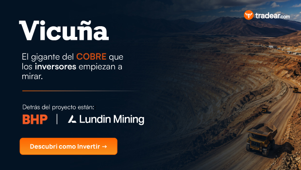 Banner Vicuña